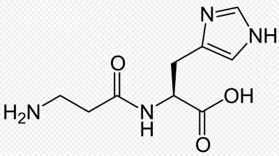 L-Carnosine